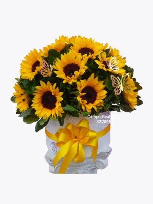 GIRASOLES DE LUNA