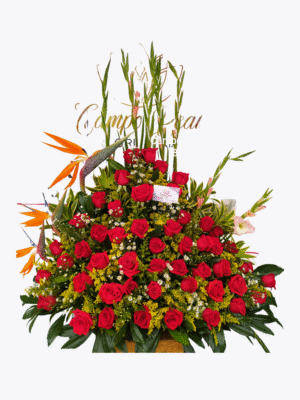 BASE AMOR QUE FLORECE