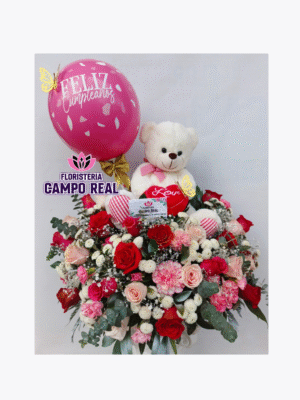 BASE MAGIA DE CORAZON (PELUCHE OPCIONAL)